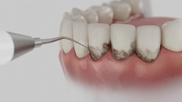 Reliable Dental contractor in Barre, VT by Dentist Open Now